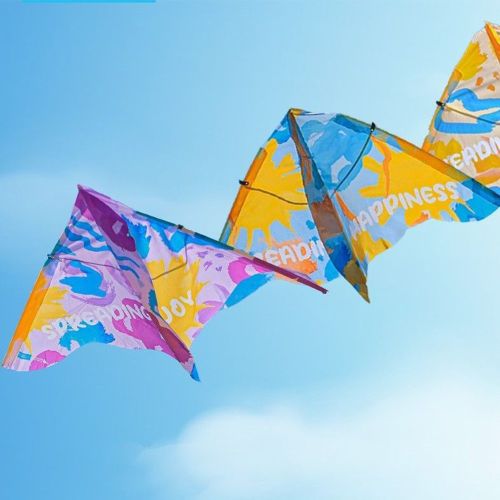 Summer Kites